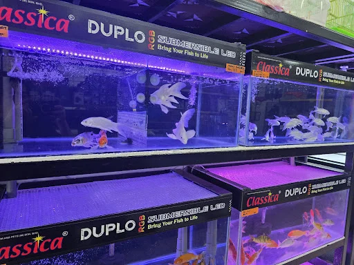 SFH Aquatic & Pets